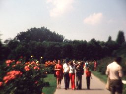 Zeltlager in Hallein 1966